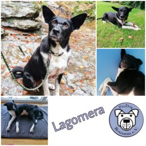 Lagomera - RBB 10.03.2021