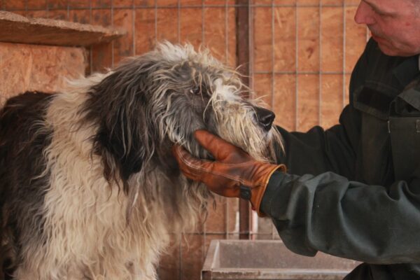 YETI - reserviert Manuela vermittelt – Bild 21