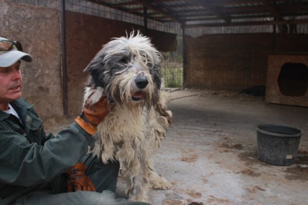 YETI - reserviert Manuela vermittelt – Bild 22