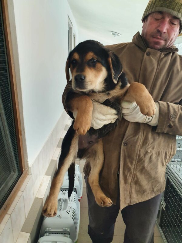 FLOYD - reserviert NiWi - vermittelt – Bild 4