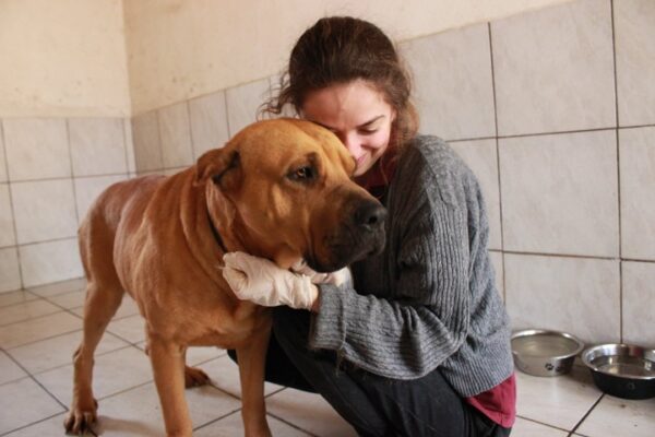 DORIE - reserviert Manuela vermittelt – Bild 5