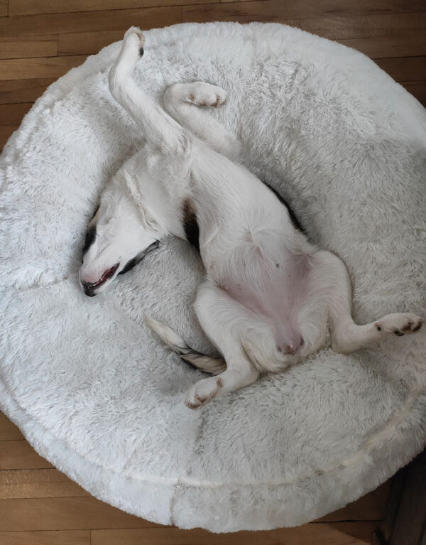 Aika in 28203 Bremen – Bild 5