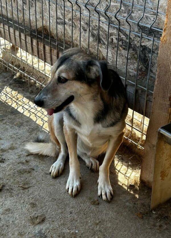 LILLY (♀) – Bild 3