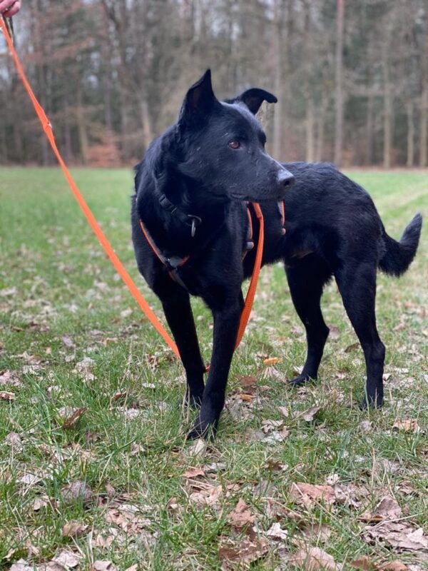 Denba in 97525 Schwebheim – Bild 5