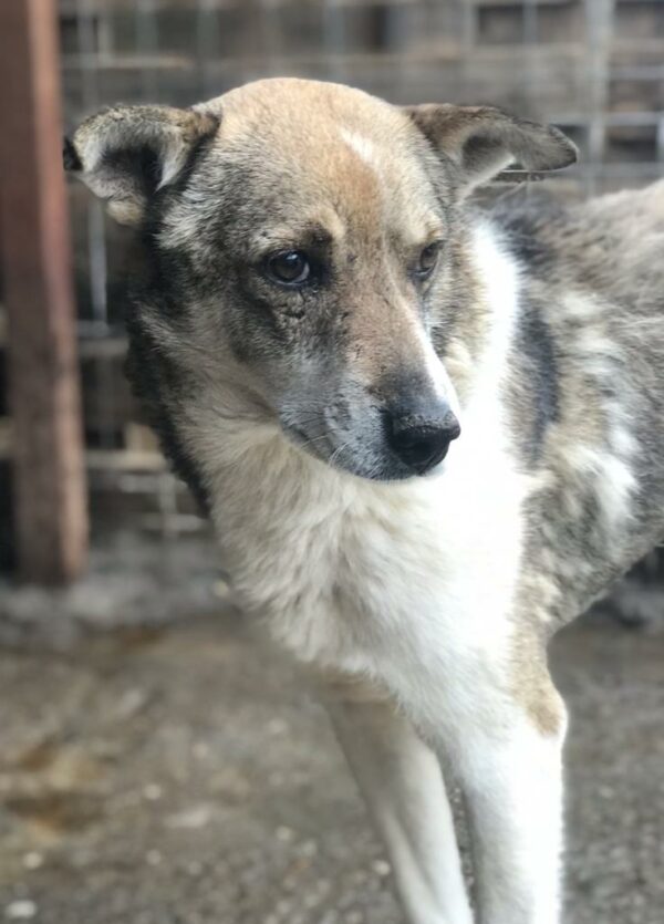 MURPHY - RBB 15.10.2021 – Bild 2