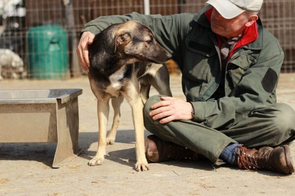 BUBI - reserviert Betty - vermittelt – Bild 2