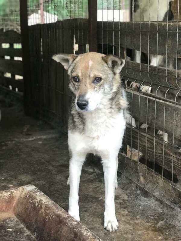 MURPHY - RBB 15.10.2021 – Bild 3