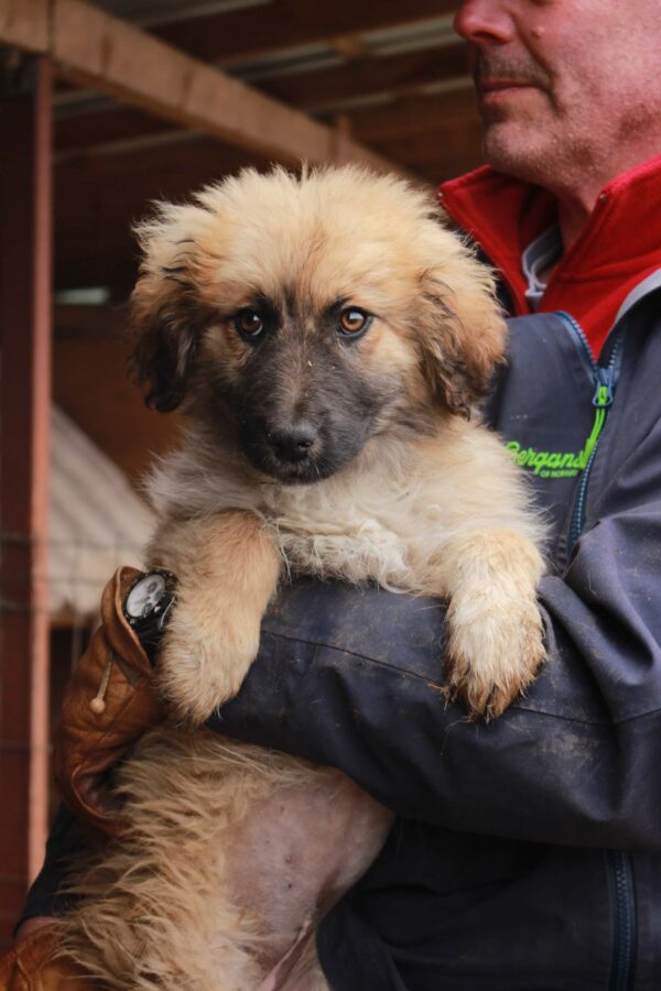 POLLY - reserviert Betty - vermittelt