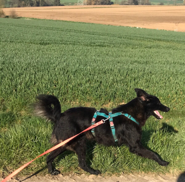 Tuffel in 31084 Freden – Bild 4