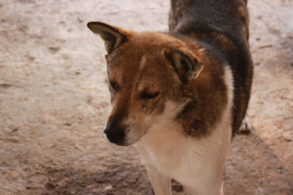 MURPHY - RBB 15.10.2021 – Bild 8