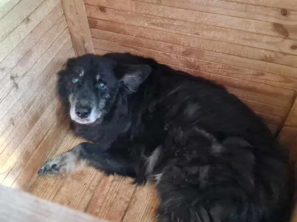 OLLIE - auf PDR PS im PLZ Bezirk 71 – Bild 4