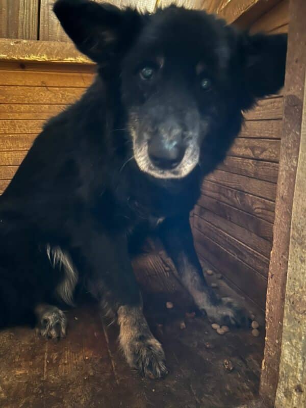 OLLIE - auf PDR PS im PLZ Bezirk 71 – Bild 8