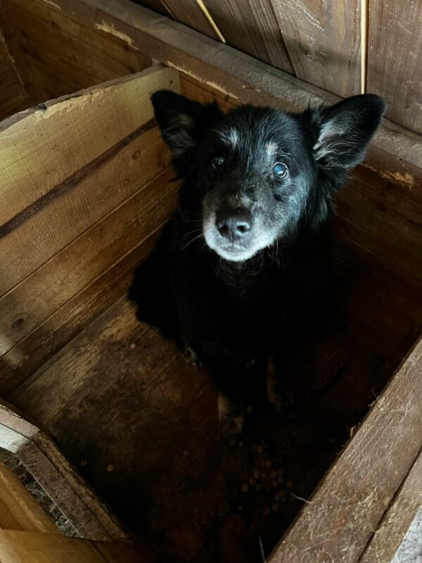 OLLIE - auf PDR PS im PLZ Bezirk 71 – Bild 9
