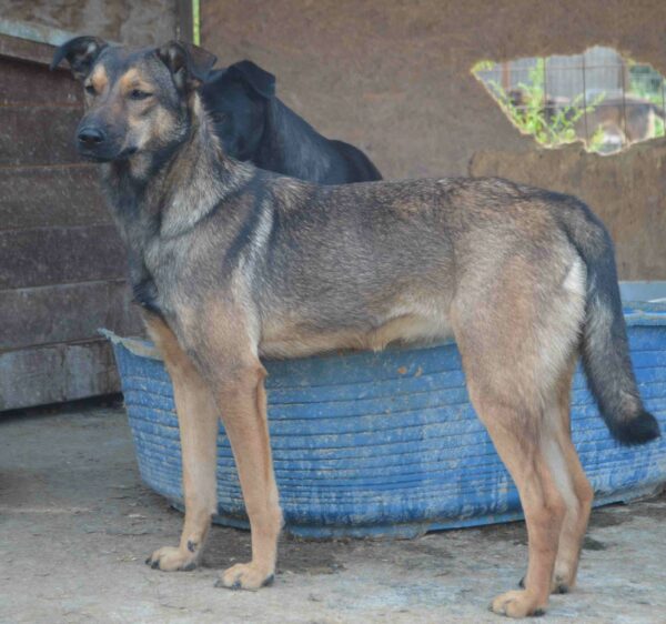 HAZEL (♀) – Bild 9