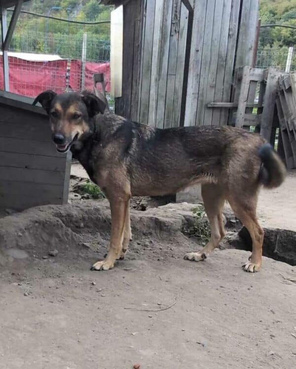 HAZEL (♀) – Bild 3