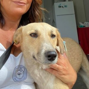 CASSY - auf Pflegestelle in PLZ 9 - vermittelt
