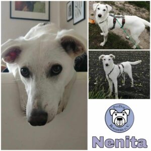 Nenita in 82216 Maisach
