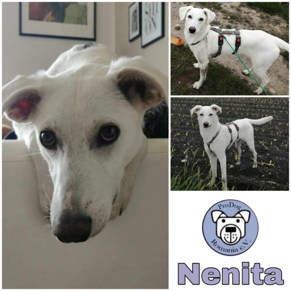 Nenita in 82216 Maisach