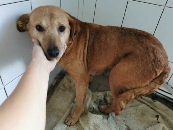 Hilja - RBB 04.09.2021 – Bild 4