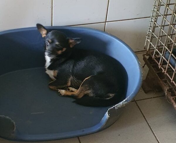 NAMINA - reserviert TiNO - vermittelt