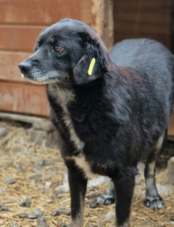 MADITA (♀) – Bild 3