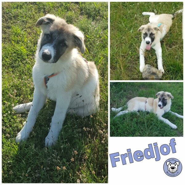 Friedjof in 68766 Hockenheim *vermittelt*