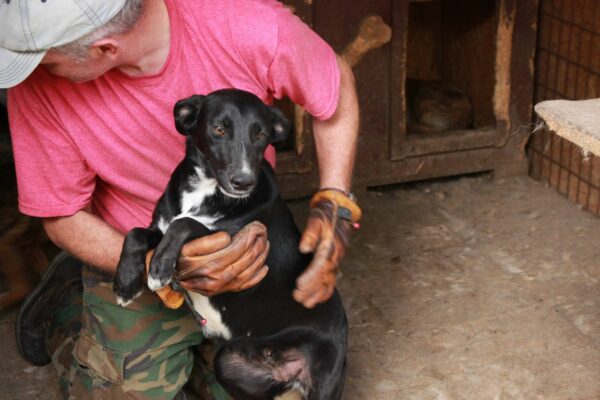 MIA - reserviert Tierhilfe Lebenswert DR - vermittelt – Bild 3