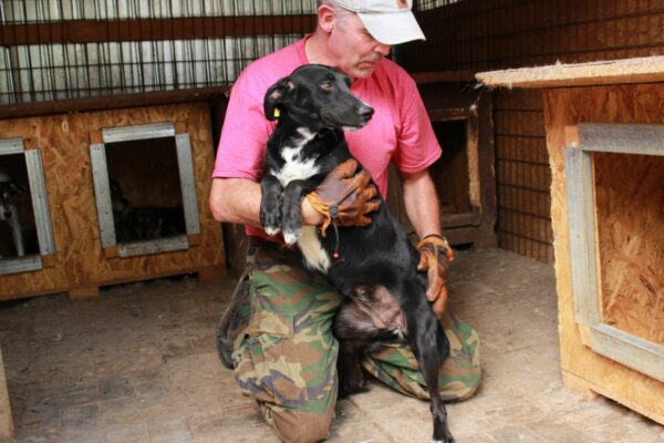 MIA - reserviert Tierhilfe Lebenswert DR - vermittelt – Bild 2