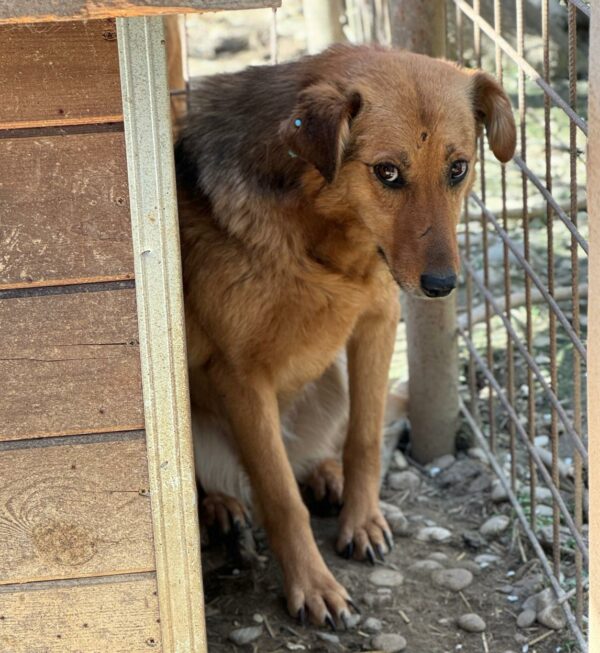 MAVIE (♀) – Bild 9