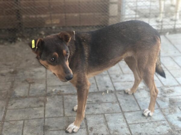 TAYANA - RBB 03/2022 – Bild 4