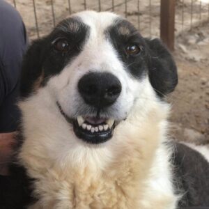 YUMA - vor Ort vermittelt