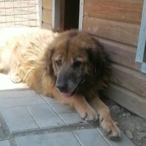 TONI - RBB 06/2022