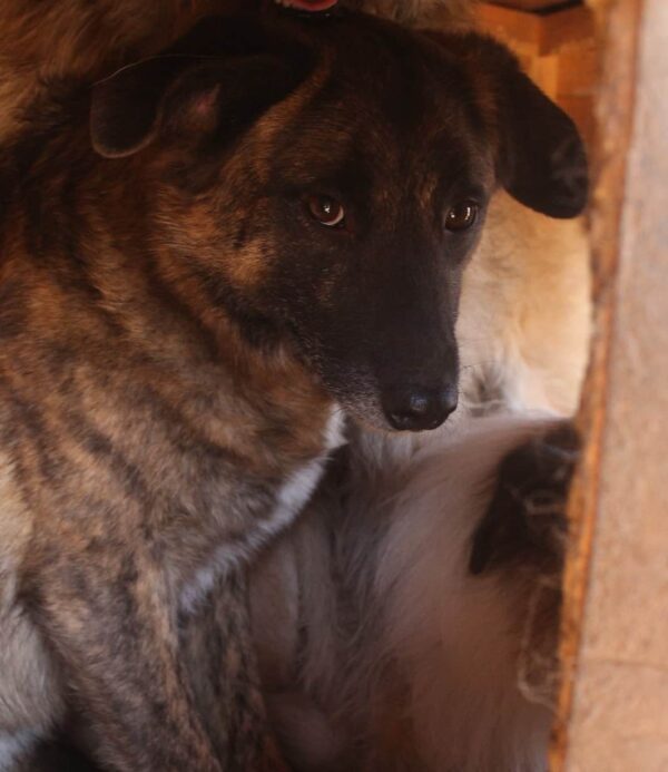 LUCA (⚤) – Bild 12