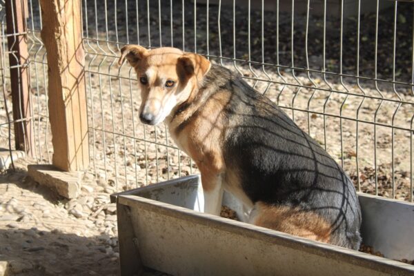 AVANI - vermisst 04/24 – Bild 2