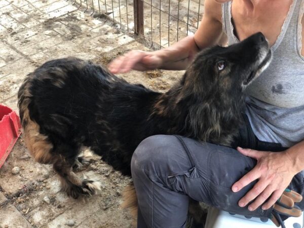 ATHENA - reserviert Betty - vermittelt – Bild 6