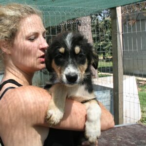 FISSY - reserviert TINO - vermittelt