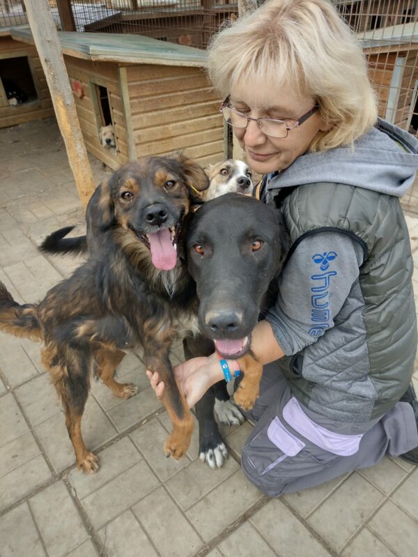 CASANOVA - reserviert TINO - vermittelt – Bild 4