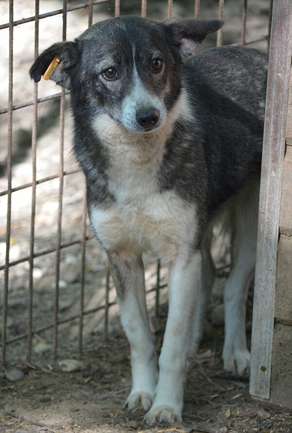 FREEDOM - vermittelt Betty – Bild 10