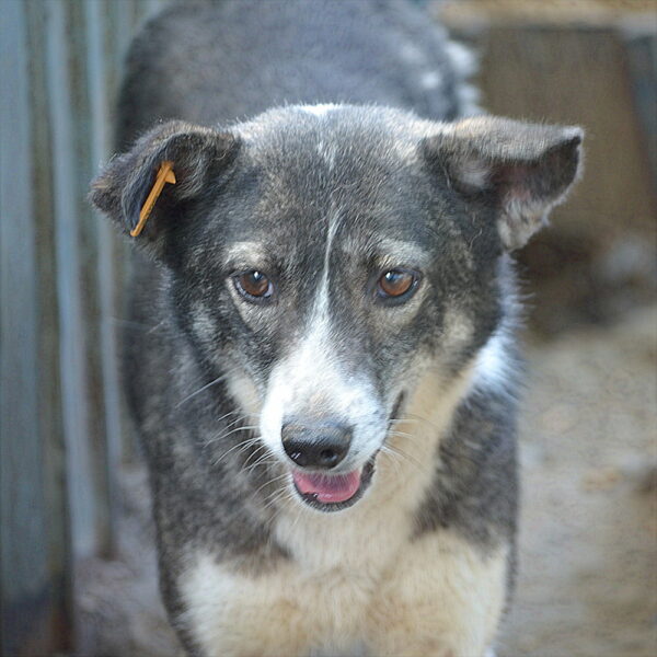 FREEDOM - vermittelt Betty – Bild 13