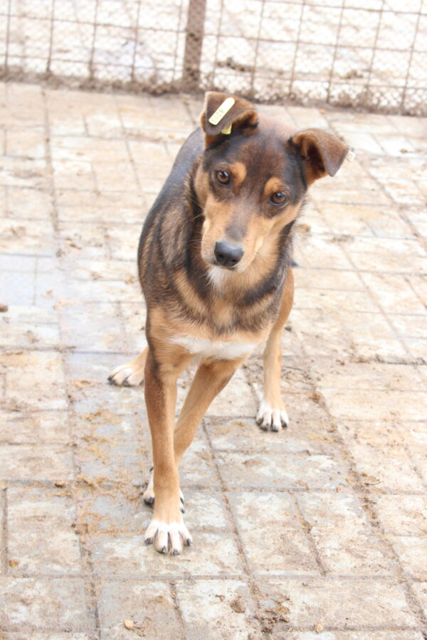 TAYANA - RBB 03/2022 – Bild 3