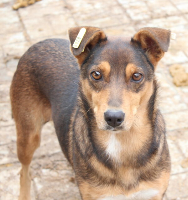 TAYANA - RBB 03/2022