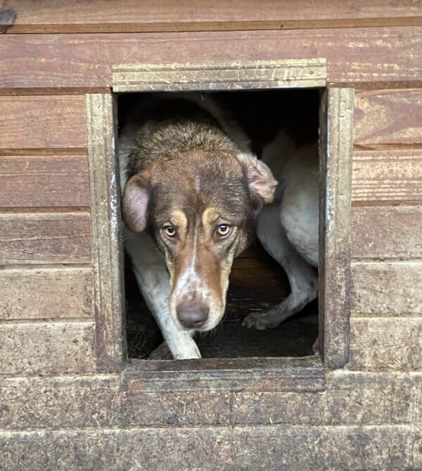 MADDY (♀) – Bild 15