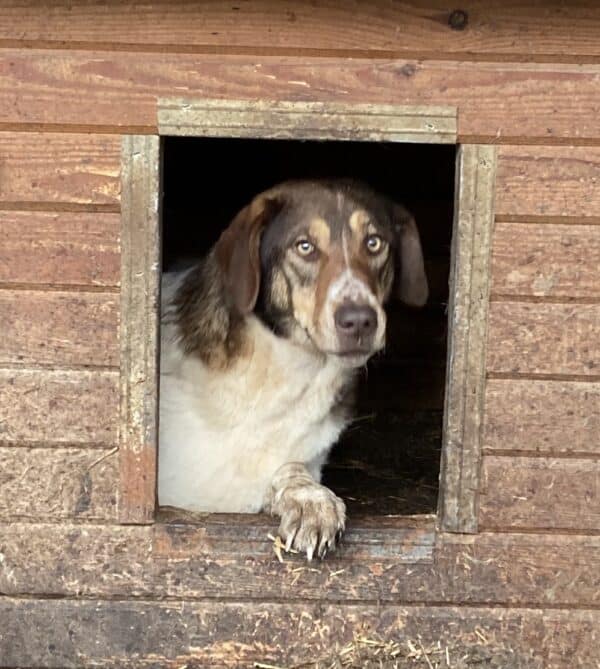 MADDY (♀) – Bild 14