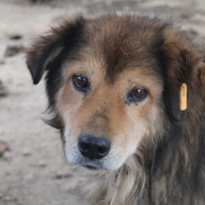 KAYO - vermisst 07/24