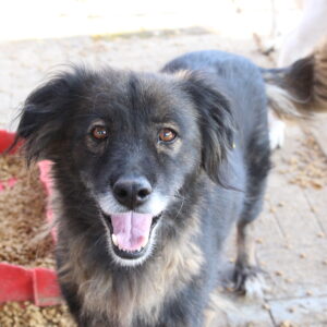 ATHENA - reserviert Betty - vermittelt