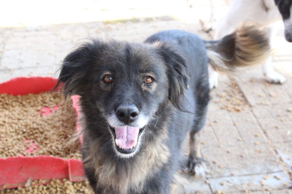 ATHENA - reserviert Betty - vermittelt