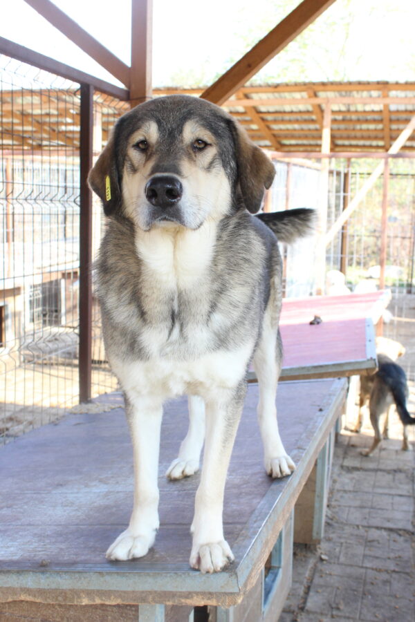 SLY - vermisst 12/22 – Bild 4