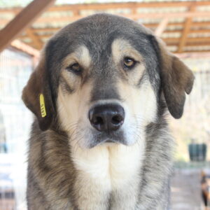 SLY - vermisst 12/22