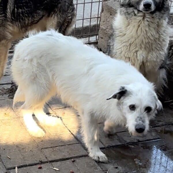 TANAMI (♀) – Bild 9