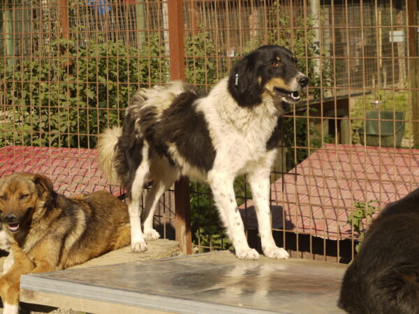 NYUKI - vermisst 12/22 – Bild 2